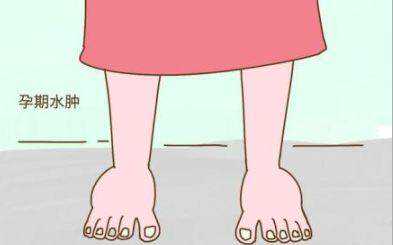 借卵生子私立医院哪里最好？附借卵生子助孕机构排名？,供卵助孕三代试管费用