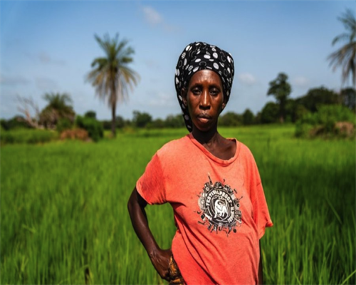 第二代代生双胞胎中心包生男孩价格多少？费用10万够不够？						